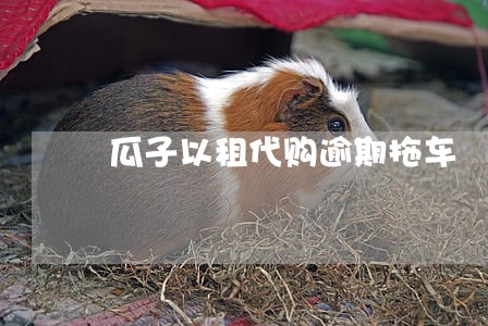 瓜子以租代购逾期拖车 瓜子以租代购逾期拖车