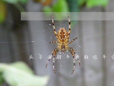 瓜子分期车逾期收车合法么 瓜子分期车逾期收车合法么
