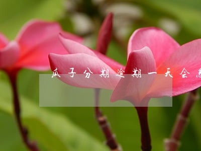 瓜子分期逾期一天会怎样 瓜子分期逾期一天会怎样