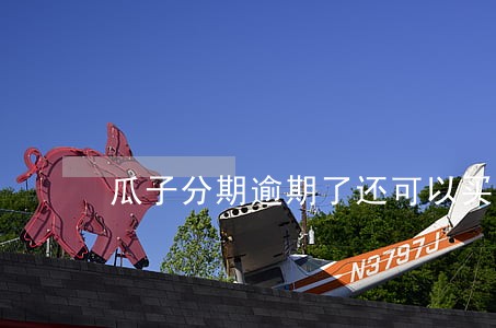 瓜子分期逾期了还可以买车么 瓜子分期逾期了还可以买车么