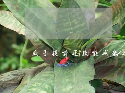 瓜子提前还款能减免逾期费用吗 瓜子提前还款能减免逾期费用吗