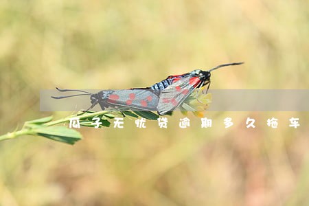 瓜子无忧贷逾期多久拖车 瓜子无忧贷逾期多久拖车