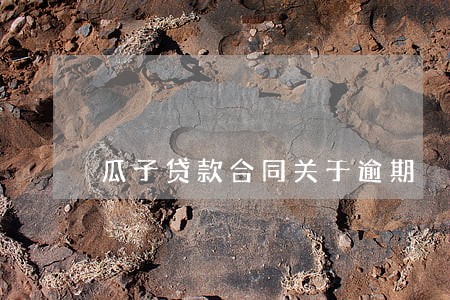 瓜子贷款合同关于逾期 瓜子贷款合同关于逾期