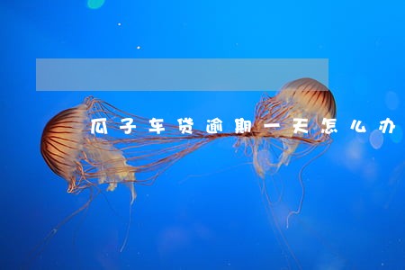 瓜子车贷逾期一天怎么办 瓜子车贷逾期一天怎么办