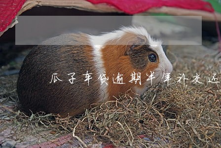 瓜子车贷逾期半年补交还会拖车吗 瓜子车贷逾期半年补交还会拖车吗