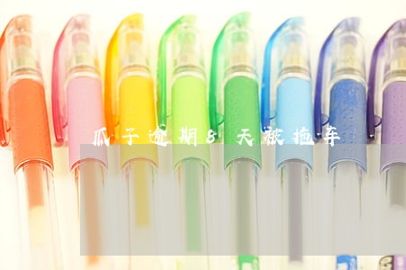 瓜子逾期8天被拖车 瓜子逾期8天被拖车