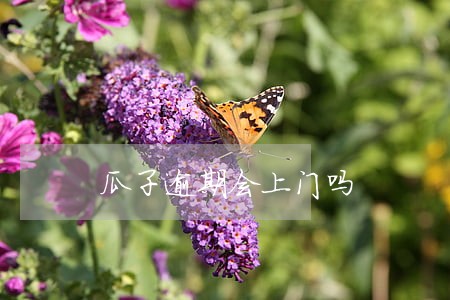 瓜子逾期会上门吗 瓜子逾期会上门吗