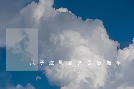 瓜子逾期多久会被拖车 瓜子逾期多久会被拖车