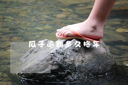 瓜子逾期多久拖车 瓜子逾期多久拖车