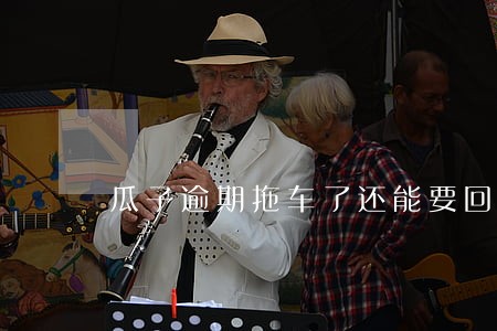 瓜子逾期拖车了还能要回来吗 瓜子逾期拖车了还能要回来吗