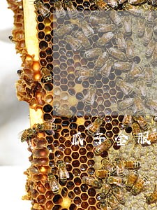 瓜子金服逾期几天会怎么样 瓜子金服逾期几天会怎么样
