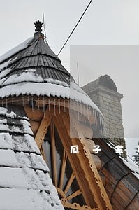 瓜子金科逾期半年 瓜子金科逾期半年