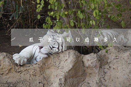 瓜子金融可以逾期多久 瓜子金融可以逾期多久
