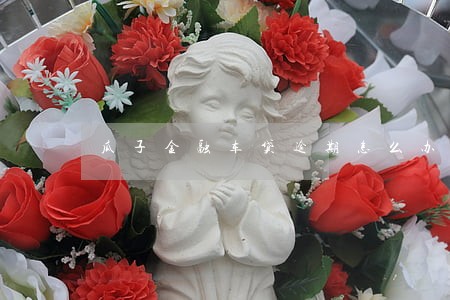 瓜子金融车贷逾期怎么办 瓜子金融车贷逾期怎么办