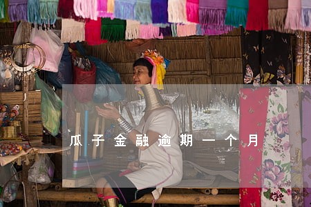 瓜子金融逾期一个月 瓜子金融逾期一个月