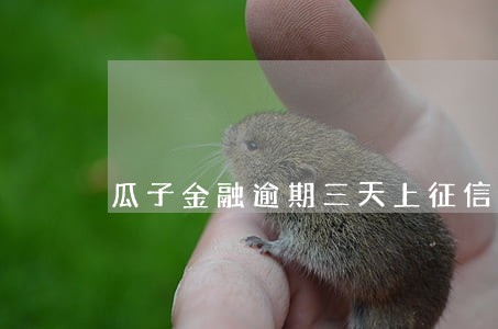 瓜子金融逾期三天上征信吗 瓜子金融逾期三天上征信吗
