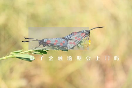 瓜子金融逾期会上门吗 瓜子金融逾期会上门吗
