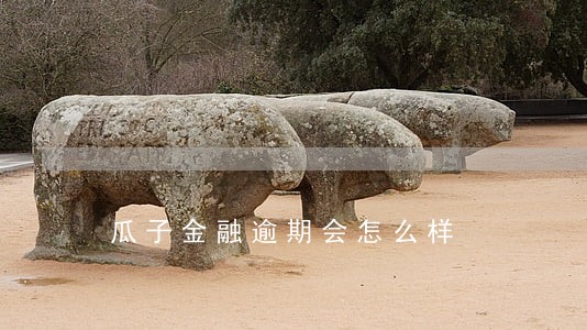瓜子金融逾期会怎么样 瓜子金融逾期会怎么样