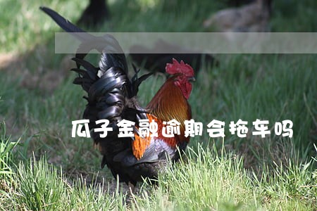 瓜子金融逾期会拖车吗 瓜子金融逾期会拖车吗