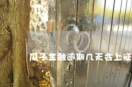 瓜子金融逾期几天会上征信吗 瓜子金融逾期几天会上征信吗