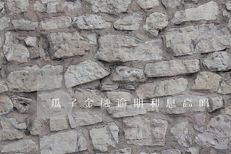 瓜子金融逾期利息高吗 瓜子金融逾期利息高吗