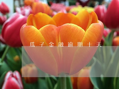 瓜子金融逾期十天 瓜子金融逾期十天