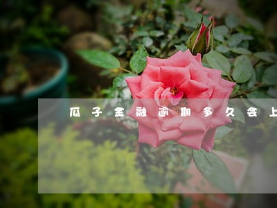 瓜子金融逾期多久会上征信 瓜子金融逾期多久会上征信