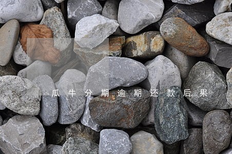 瓜牛分期逾期还款后果 瓜牛分期逾期还款后果
