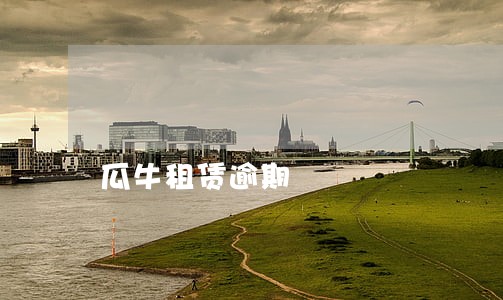 瓜牛租赁逾期 瓜牛租赁逾期