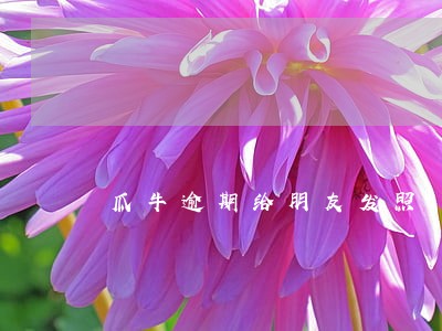 瓜牛逾期给朋友发照 瓜牛逾期给朋友发照