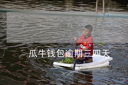 瓜牛钱包逾期三四天 瓜牛钱包逾期三四天