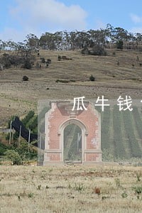 瓜牛钱包逾期半年 瓜牛钱包逾期半年