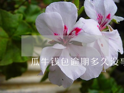 瓜牛钱包逾期多久没事 瓜牛钱包逾期多久没事