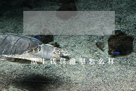 瓜牛钱包逾期怎么样 瓜牛钱包逾期怎么样