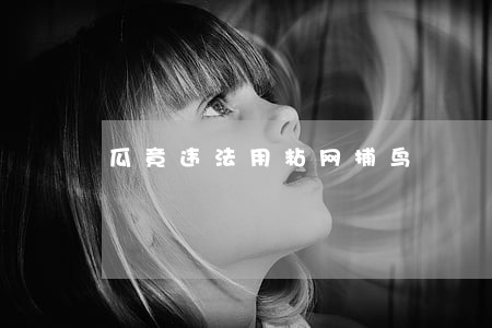 瓜竟违法用粘网捕鸟