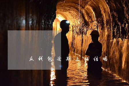 瓜钱包逾期上征信吗 瓜钱包逾期上征信吗