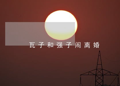 瓦子和强子闹离婚 瓦子和强子闹离婚