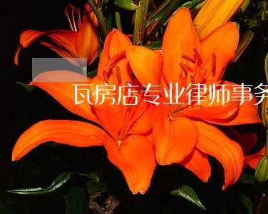 瓦房店专业律师事务所 瓦房店专业律师事务所