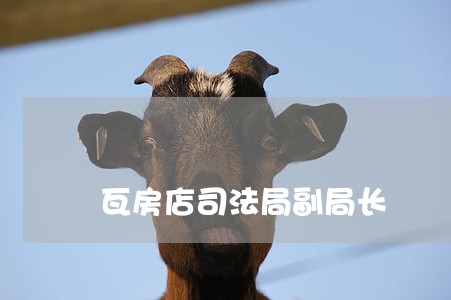 瓦房店司法局副局长 瓦房店司法局副局长