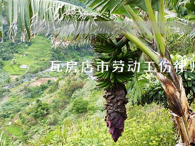 瓦房店市劳动工伤律师哪里找 瓦房店市劳动工伤律师哪里找