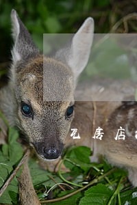 瓦房店法院法官名单 瓦房店法院法官名单
