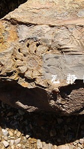 瓦邦网上报名逾期没有去 瓦邦网上报名逾期没有去