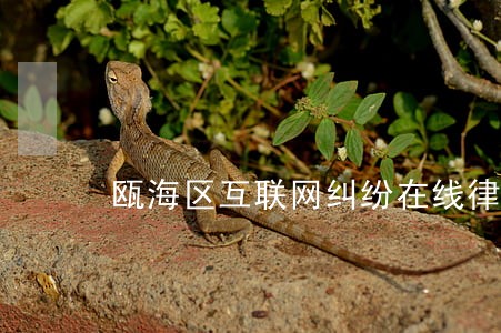 瓯海区互联网纠纷在线律师 瓯海区互联网纠纷在线律师