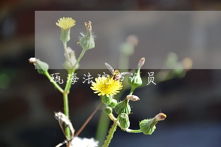 瓯海法院书记员 瓯海法院书记员