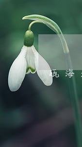 瓯海法院法院如何应对没收建筑物 瓯海法院法院如何应对没收建筑物