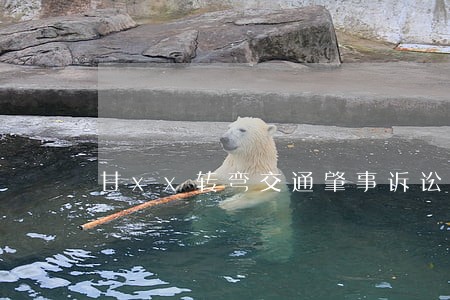 甘xx转弯交通肇事诉讼要多少钱
