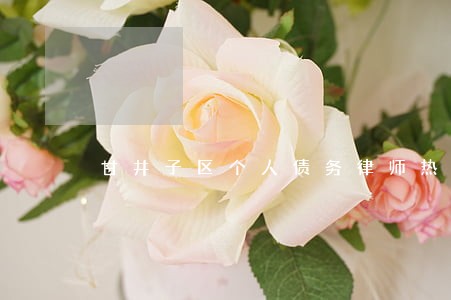 甘井子区个人债务律师热线 甘井子区个人债务律师热线
