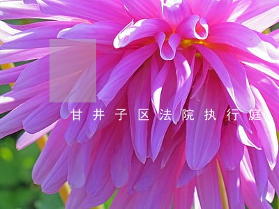 甘井子区法院执行庭 甘井子区法院执行庭