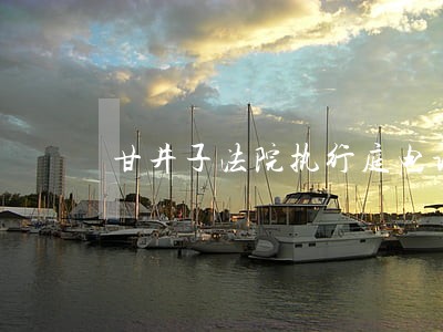 甘井子法院执行庭电话