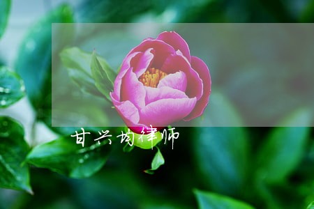 甘兴均律师